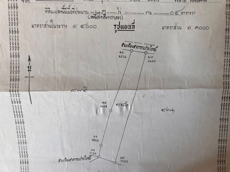 ที่ดิน รูปที่ 2