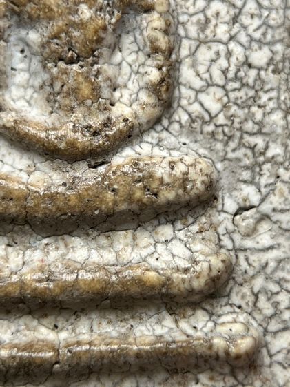 พระสมเด็จวัดระฆังพิมพ์เจดีย์ ส่งตามรูป (55) รูปที่ 7