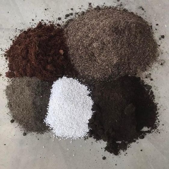 Love Rose Farm ดินปลูกกุหลาบกระสอบขนาด 10 กิโลกรัม รูปที่ 3