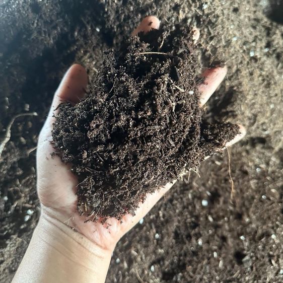 Love Rose Farm ดินปลูกกุหลาบกระสอบขนาด 10 กิโลกรัม รูปที่ 2