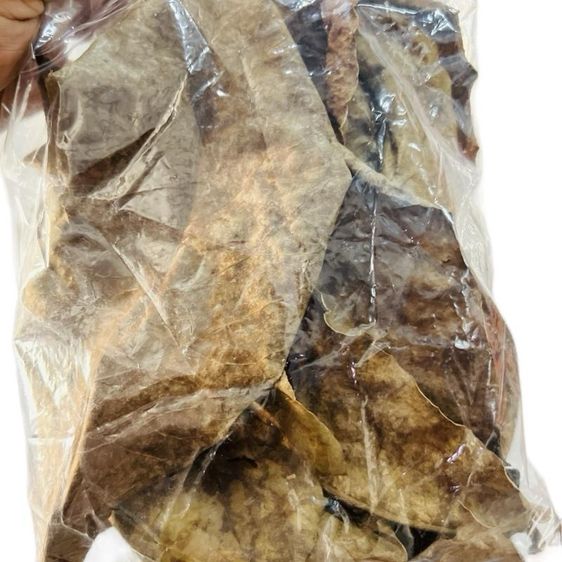 ใบหูกวางแห้ง (เอาก้านออกแล้ว)  หมักปลากัด น้ำหนัก 30 กรัม รูปที่ 2