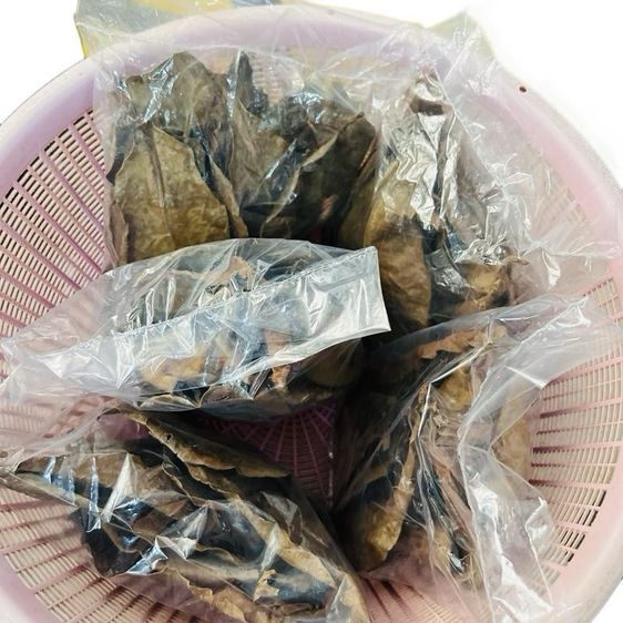 ใบหูกวางแห้ง (เอาก้านออกแล้ว)  หมักปลากัด น้ำหนัก 30 กรัม รูปที่ 6