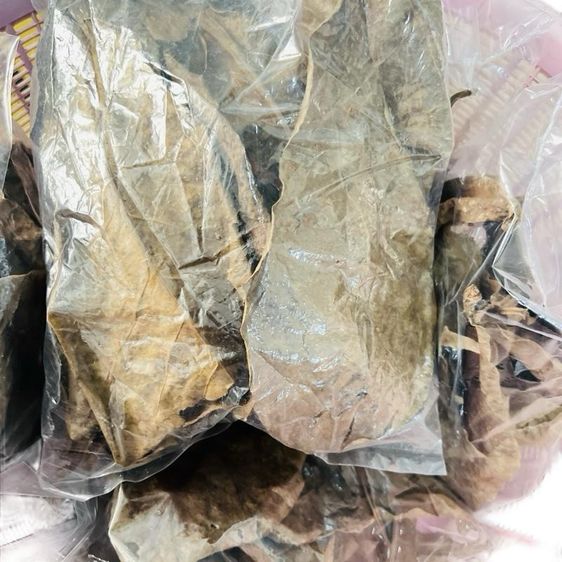 ใบหูกวางแห้ง (เอาก้านออกแล้ว)  หมักปลากัด น้ำหนัก 30 กรัม รูปที่ 5