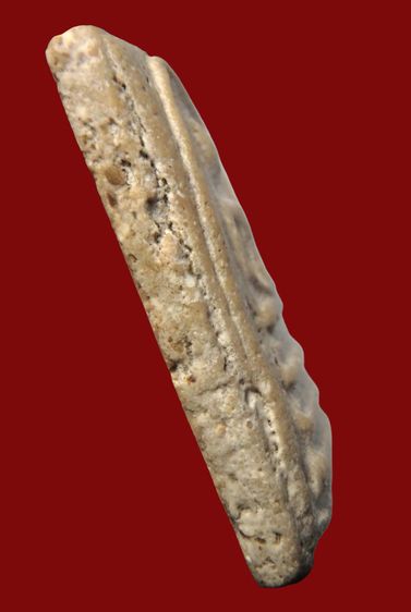 ✅พระสมเด็จวัดระฆังพิมพ์ใหญ่ AA963018