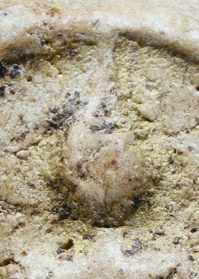 พระบ้าน สภาพใช้ พระสมเด็จวัดระฆัง พิมพ์ใหญ่ มีมวลสาร คราบทองประปราย เก่าจัด