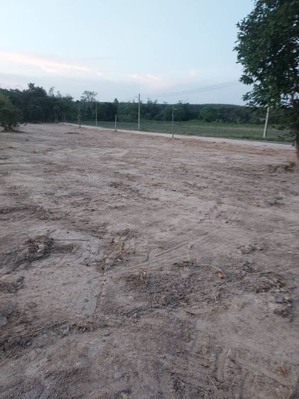 ขายที่ดินราคาถูก ทำเลทอง 4ไร่73 ตรว ต.มะขามคู่ อ.นิคมพัฒนา จ.ระยอง รูปที่ 4