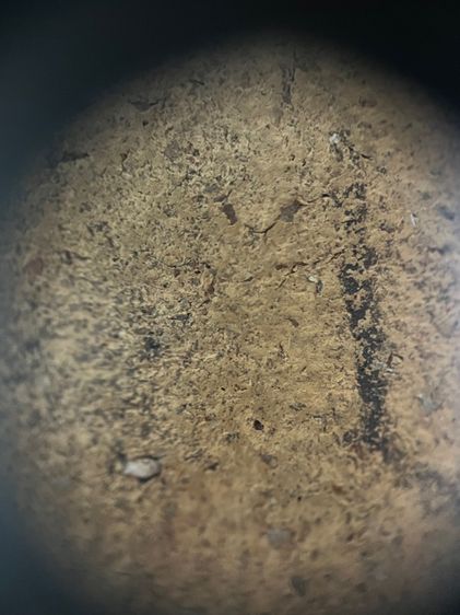 พระเนื้อดินกำแพง รูปที่ 7