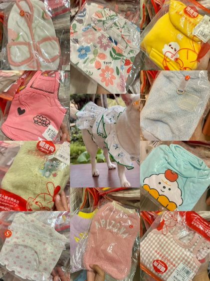 เสื้อผ้าและแฟชั่น ขายเสื้อผ้าหมาโล๊ะ 200+ ตัว คุณภาพดีมือ1 ทุกตัว