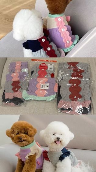 ขายเสื้อผ้าหมาโล๊ะ 200+ ตัว คุณภาพดีมือ1 ทุกตัว รูปที่ 5