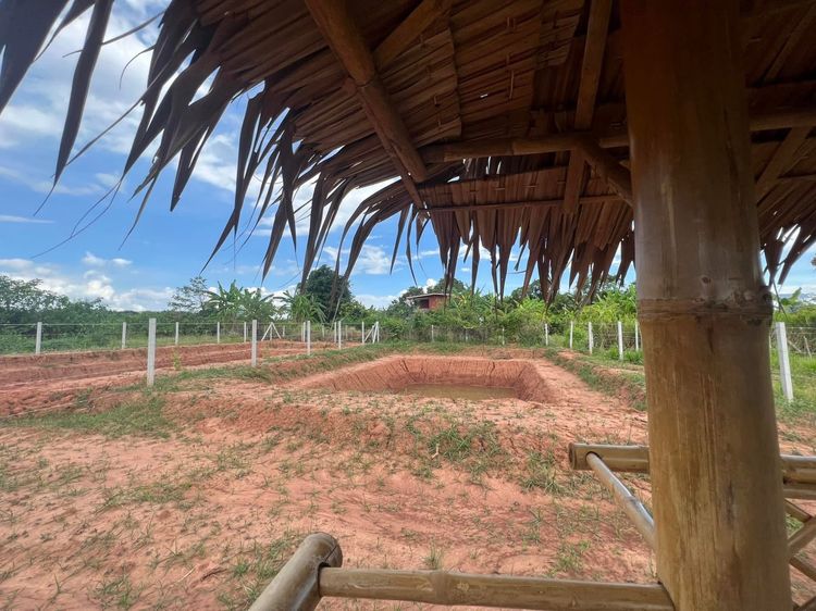 ที่ดิน รูปที่ 2