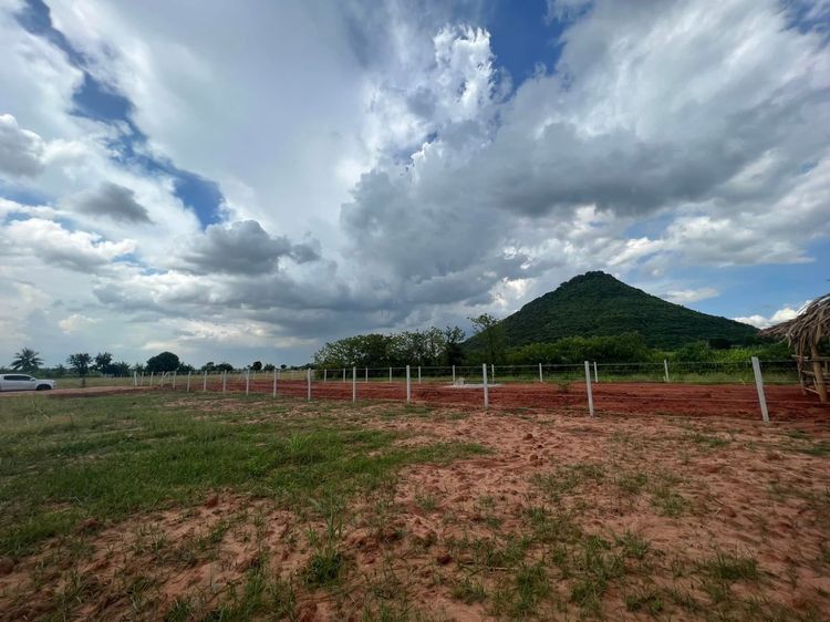 ที่ดิน รูปที่ 3