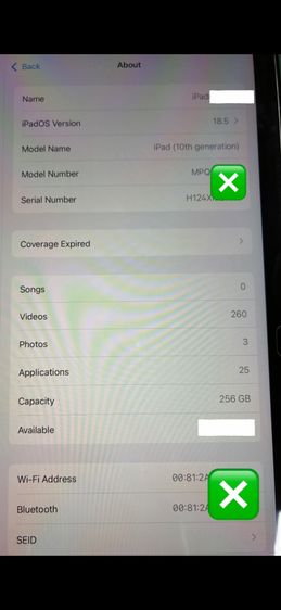 Apple 256 GB Ipad gen10 