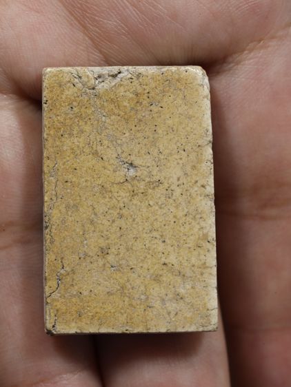 รหัส 443 - พระสมเด็จพิมพ์ปรกโพธิ์ วัดระฆังโฆสิตาราม สภาพสวยสมบูรณ์ มวลสารชัดเจน รับประกันตรงปกตามรูปภาพค่ะ จากหีบโบราณ” โทร 0933253888 รูปที่ 6