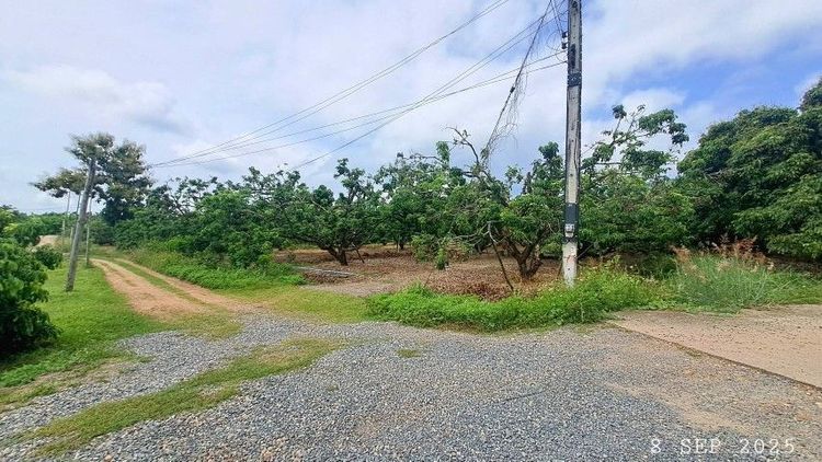 ไม่ใช่ เจ้าของขายเอง สวนลำไยพร้อมบ่อปลา ดินดำน้ำชุ่มอุดมสมบูรณ์เหมาะทำบ้านสวน บ้านพักตากอากาศเชิงเขา รูปที่ 4