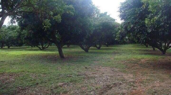 ที่ดินแปลงสวยว่างแปลงใหญ่ อำเภอพาน 