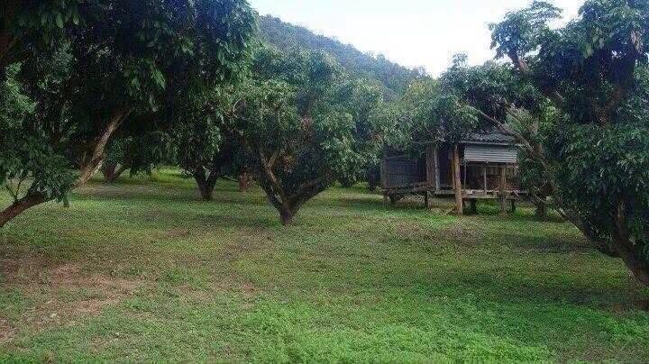 ที่ดินแปลงสวยว่างแปลงใหญ่ อำเภอพาน  รูปที่ 2