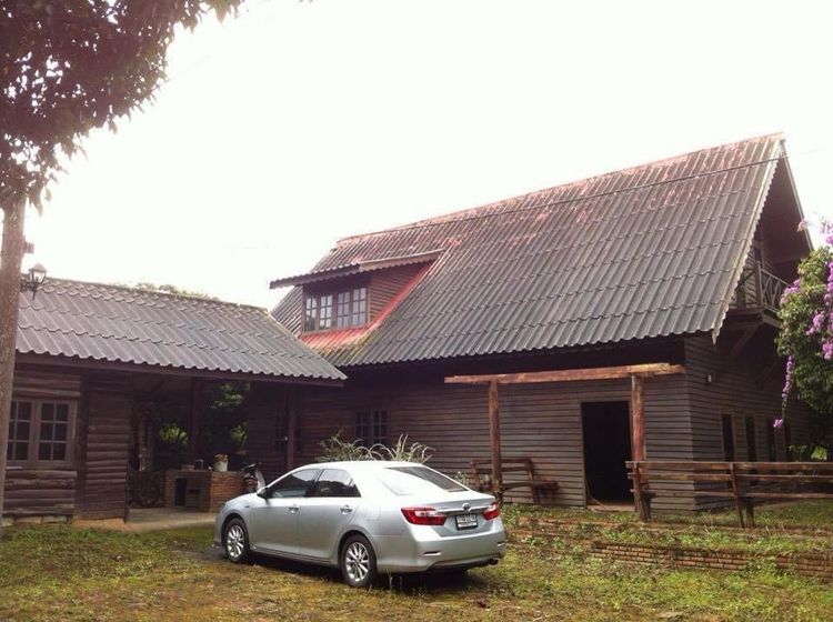 บ้านพร้อมที่ดิน เวียงป่าเป้า เชียงราย 25 ไร่ ลิ้นจี่ มีโฉนด 1 แปลง รูปที่ 2