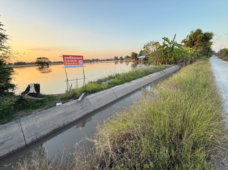 ไม่ใช่ ที่ดิน ดอนโพธิ์ทอง สุพรรณบุรี 7-3-25 ไร่ รูปที่ 3