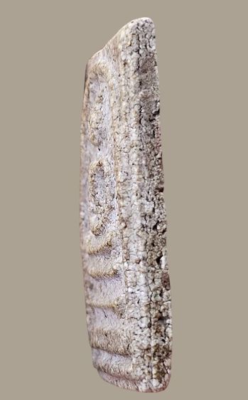 สมเด็จวัดระฆัง พิมพ์ใหญ่ เกศทะลุซุ้ม หลังกาบหมาก (พิมพ์ช่างหลวงวิจารณ์) รูปที่ 12