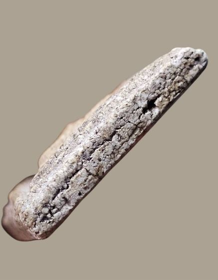 สมเด็จวัดระฆัง พิมพ์ใหญ่ เกศทะลุซุ้ม หลังกาบหมาก (พิมพ์ช่างหลวงวิจารณ์) รูปที่ 16