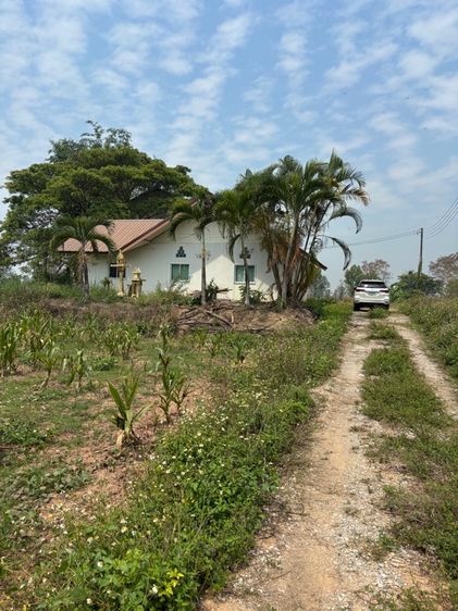 ที่ดินพร้อมสิ่งปลูกสร้าง 7-3-20 ไร่ จ.เชียงราย รูปที่ 4