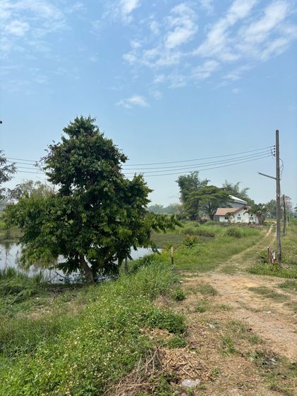 ที่ดินพร้อมสิ่งปลูกสร้าง 7-3-20 ไร่ จ.เชียงราย รูปที่ 2