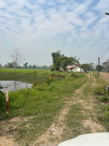 ที่ดินพร้อมสิ่งปลูกสร้าง 7-3-20 ไร่ จ.เชียงราย รูปที่ 3