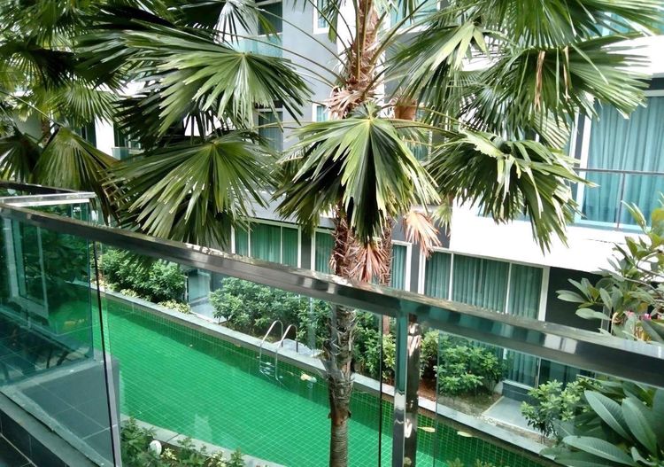 ไม่อนุญาต ตกแต่งครบ The Future Condo Pattaya for Rent