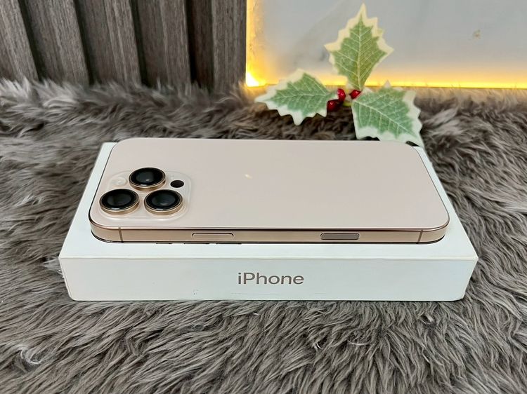 512 GB iPhone 16 Pro Max 512GB