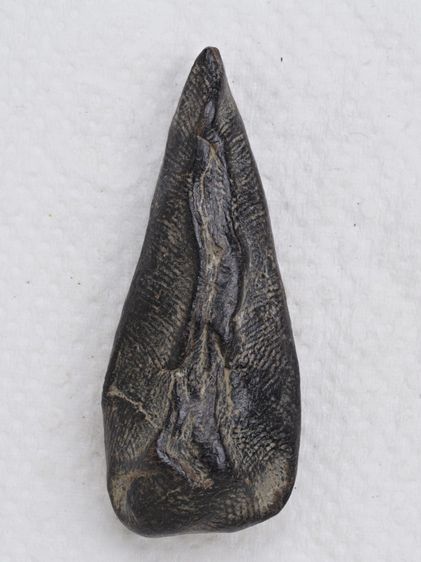 พระเนื้อดิน 15016916 รูปที่ 2