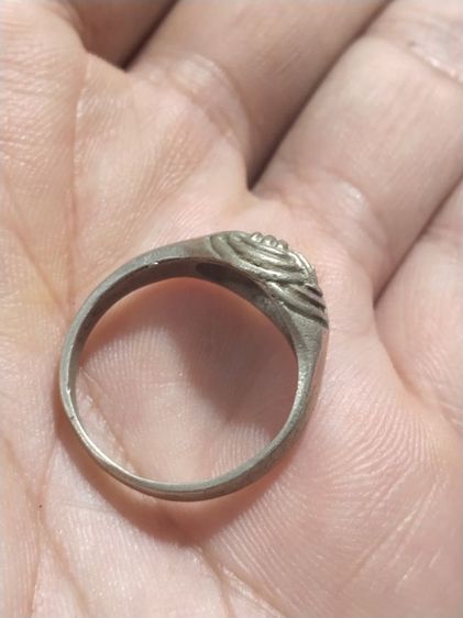 เราแวะมาดูครับ รูปที่ 3