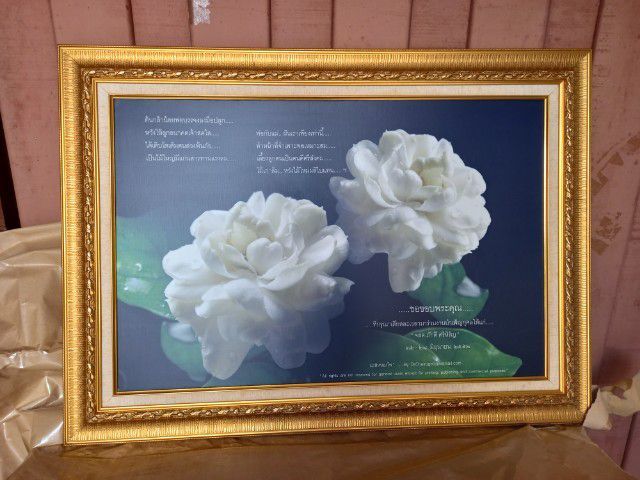 กรอยรูปภาพมะลิ รูปที่ 2