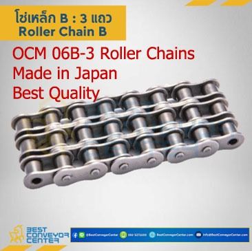 จำหน่ายโซ่สแตนเลส โซ่สายพานลำเลียง ยี่ห้อ OCM  รูปที่ 8