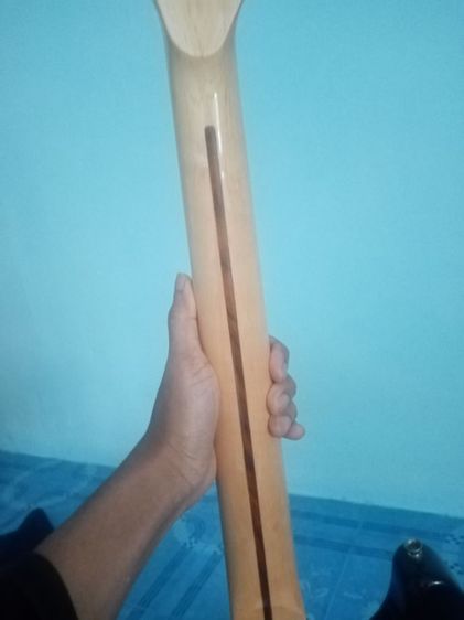 ขายกีต้าร์​ไฟฟ้า​ รูปที่ 2