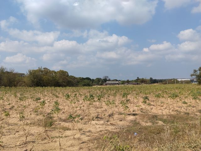 ใช่ ขายที่ดินติดตัวเมืองศรีราชาเหมาะกับการทำหมู่บ้านจัดสรร รูปที่ 2