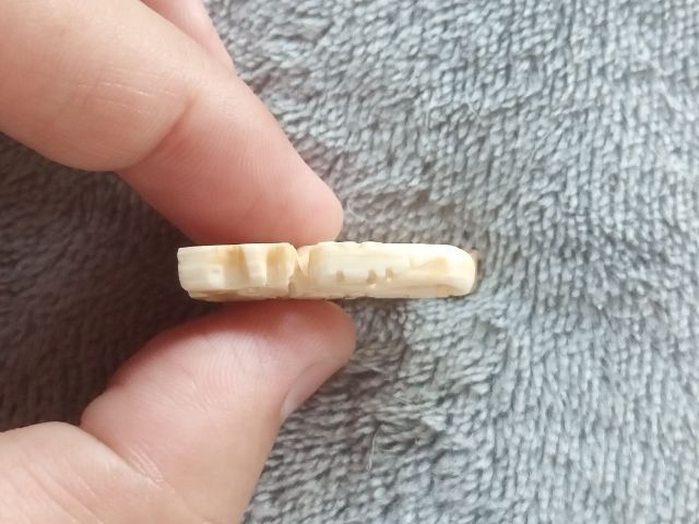 สิงห์ รูปที่ 5