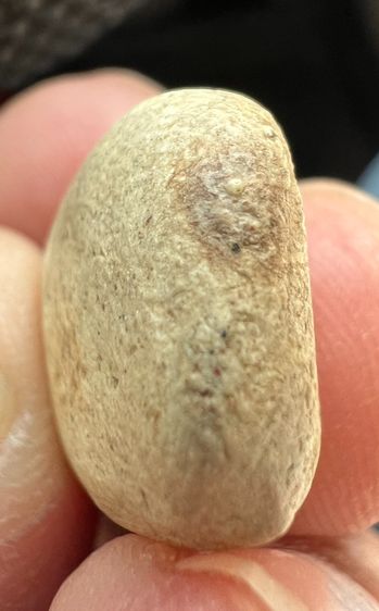 พระพิมพ์วัดพลับ รูปที่ 5