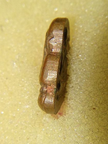 พระปิดตาหลวงปู่ทิม รูปที่ 7