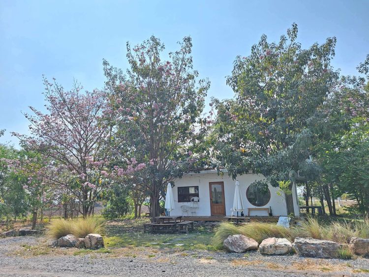 ให้เช่าร้าน รูปที่ 3