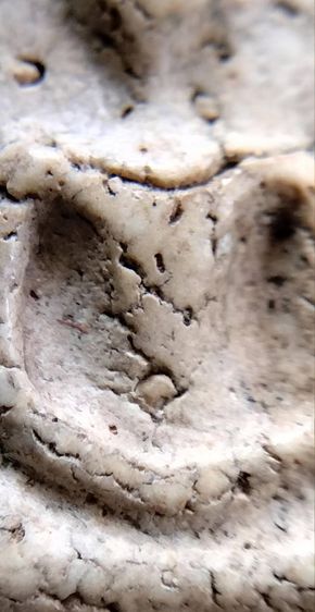 พระสมเด็จ วัดระฆัง บางขุนพรหม วัดเกศไชโย หลวงปู่ภู หลวงปู่นาค รูปที่ 10