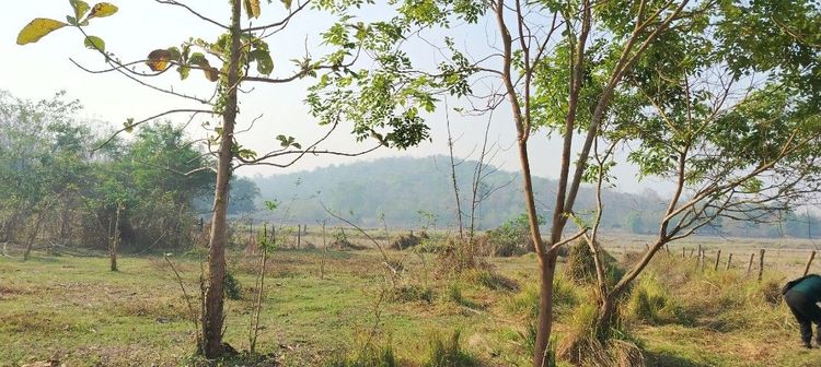 ที่โฉนดวิวเขา​ ห่าง​อบต​1กิโล​ ที่หน้ากว้างติดถนนเกือบ80เมตร