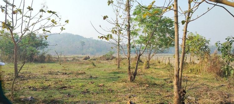 ที่โฉนดวิวเขา​ ห่าง​อบต​1กิโล​ ที่หน้ากว้างติดถนนเกือบ80เมตร รูปที่ 2