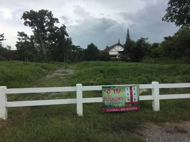 ใช่ ขายที่ดิน 147 ตรว. ม.ภูตะวัน ปากช่อง ใกล้ทองสมบรูณ์รีสอร์ท รูปที่ 3
