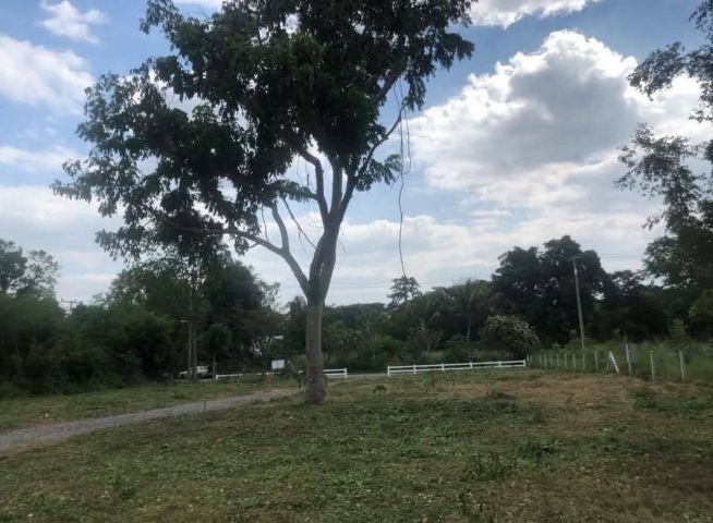 ขายที่ดิน 147 ตรว. ม.ภูตะวัน ปากช่อง ใกล้ทองสมบรูณ์รีสอร์ท