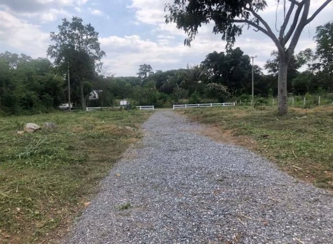 ใช่ ขายที่ดิน 147 ตรว. ม.ภูตะวัน ปากช่อง ใกล้ทองสมบรูณ์รีสอร์ท รูปที่ 4