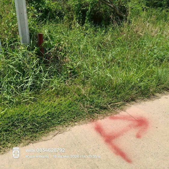 ขายด่วนที่ดิน 15-1-68 ไร่ ติดถนนสาธารณะ ต.เขาพระ อ.เมืองนครนายก จ.นครนายก รูปที่ 3