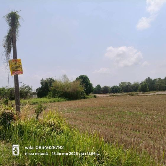 ขายด่วนที่ดิน 15-1-68 ไร่ ติดถนนสาธารณะ ต.เขาพระ อ.เมืองนครนายก  จ.นครนายก  