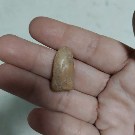  พระรอดมหามงคล เนื้อดิน กล่องเดิม รูปที่ 3