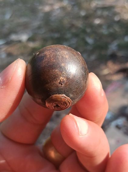 ลูกอมผงพุทธคุณ รูปที่ 7