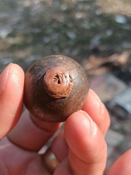 ลูกอมผงพุทธคุณ รูปที่ 10